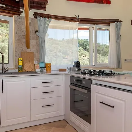 Captivating House Surrounded By Olive Grove In Seferihisar Измир
